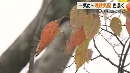 一気に“晩秋”の気配　最高気温2日連続で20度下回る　急いで衣替え、防寒グッズ購入、アッツアツの焼き芋も…　福井