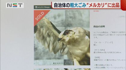 自治体が粗大ゴミを販売!? 剥製に門松など…「メルカリ」に出品！売れ行きも上々【新潟発】｜FNNプライムオンライン