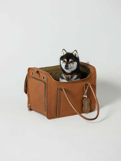 背負った姿は可愛いだろうな」ワンちゃん用ランドセルを土屋鞄が発売