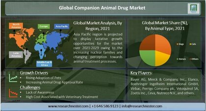 コンパニオンアニマルドラッグ市場ー動物の種類別（犬、猫、馬、その他 