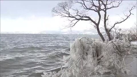 福島・猪苗代湖に冬の風物詩「しぶき氷」　湖岸の水しぶきが創る自然の芸術　2月に見ごろに