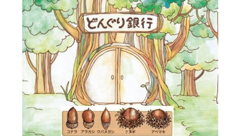 子供が集めたどんぐりを 貯金 できる どんぐり銀行 が話題 預けたその後を担当者に聞いた