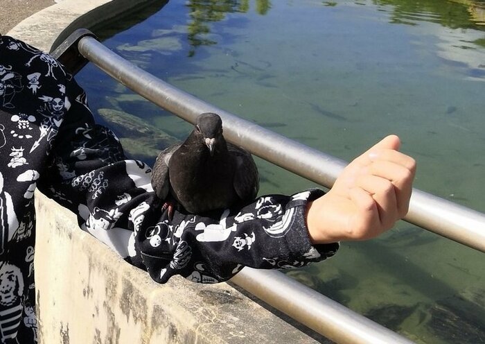 息子さんの腕の上でリラックスしているような「黒守」