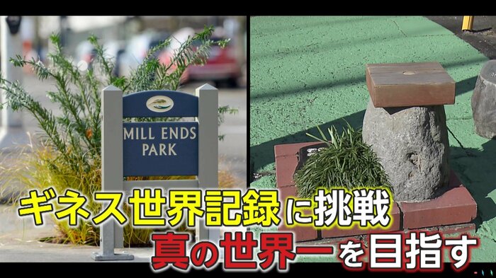 世界一を目指す静岡県の小さな公園