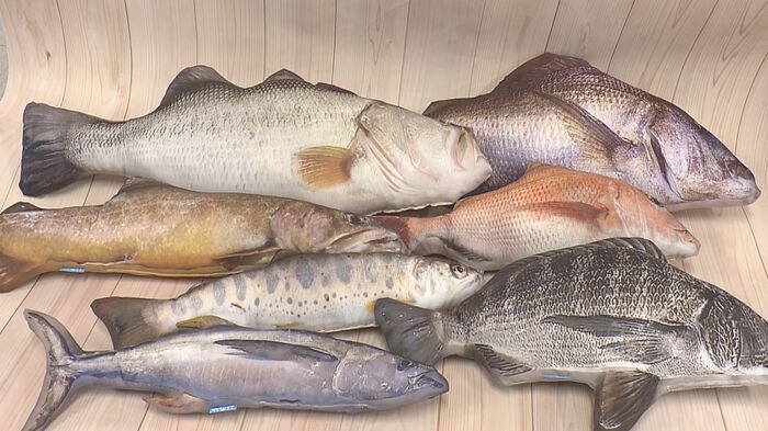 まるで本物にみえる「ぎょたクッション」