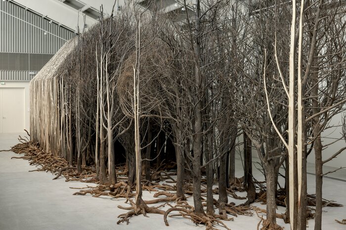 『根絶』2020-2022年804本の枯れ木と鉄Photo: Juan Fernando CastroCourtesy of Doris Salcedo Studio