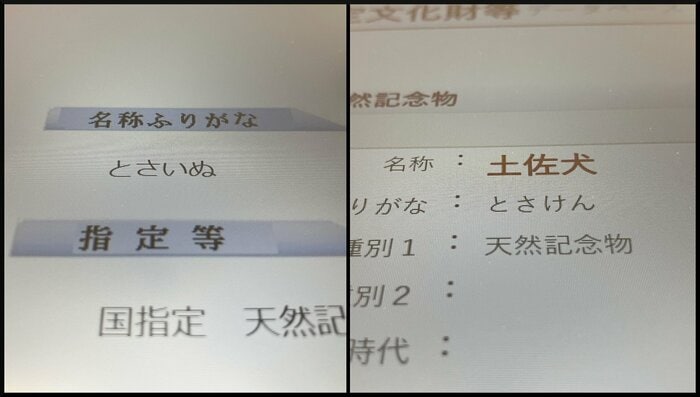 県のHP(左)では「トサイヌ」。天然記念物を紹介する文化庁のHPでは「トサケン」