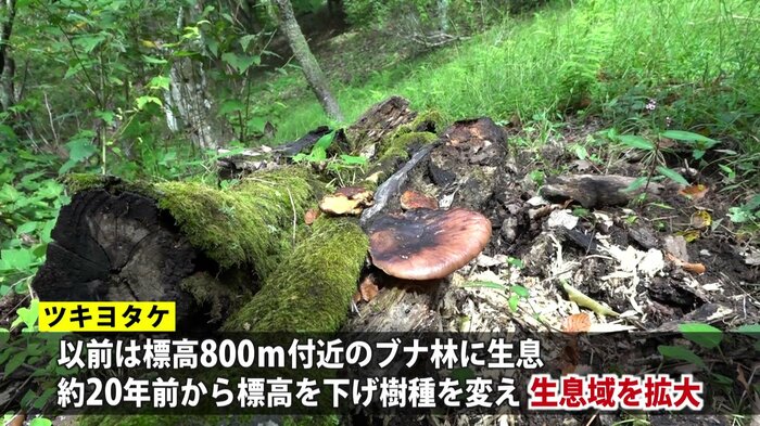 生息域が広範囲に