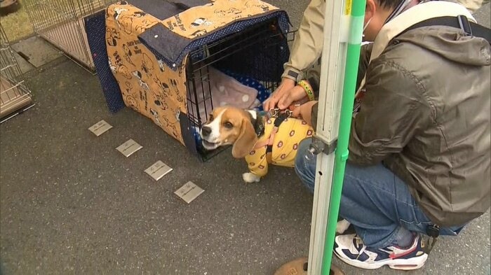 飼い主「自分を守るのと同じレベルで」
