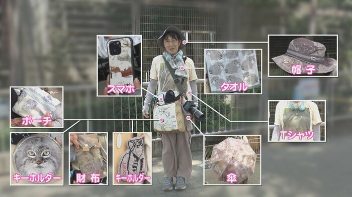 ニュースONE