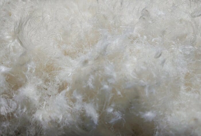 頻繁に洗うと羽毛本来の油分がなくなる可能性も（画像はイメージ）