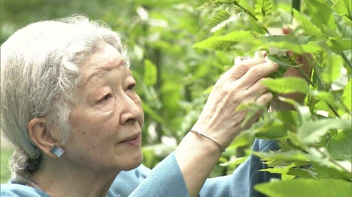 平成30（2018）年　「山つけ」作業をされる上皇后さま