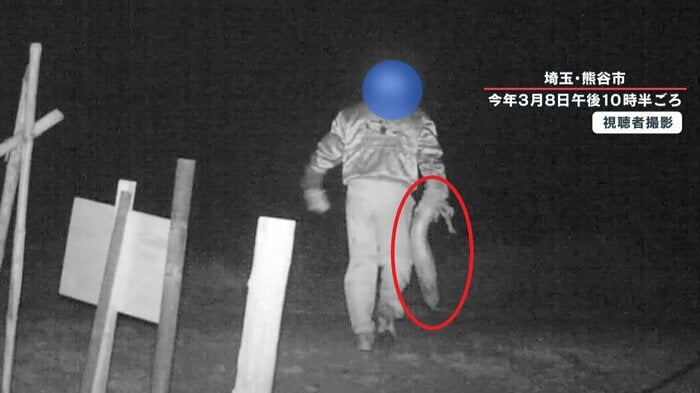 大根を持ち去る