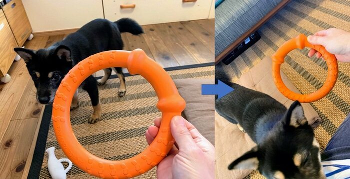 輪のおもちゃが怖くて…助けを求めて中村さんのもとへ