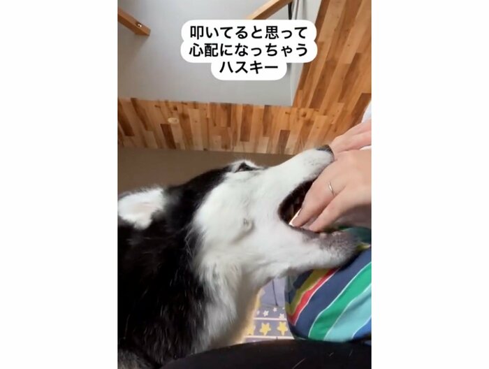 提供:akariさん