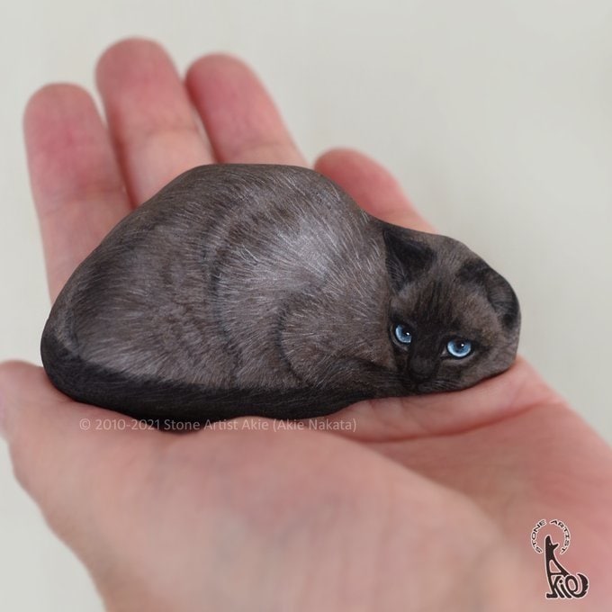 シャムネコ