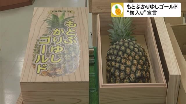 沖縄・本部町 ブランドパイナップルの旬入り宣言 ”もとぶかりゆしゴールド”