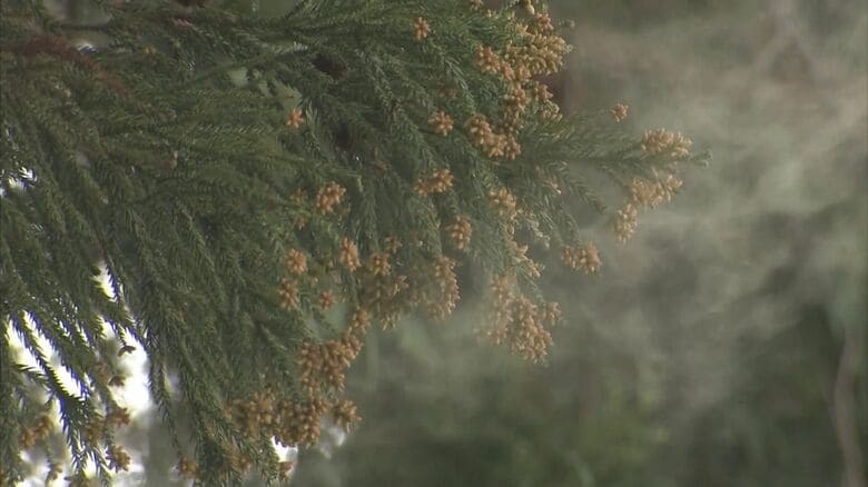 朝、ツラい!花粉症“モーニングアタック” 一気に悪化するくしゃみ・鼻水・鼻づまり…対策を医師に聞いた【福岡発】|FNNプライムオンライン