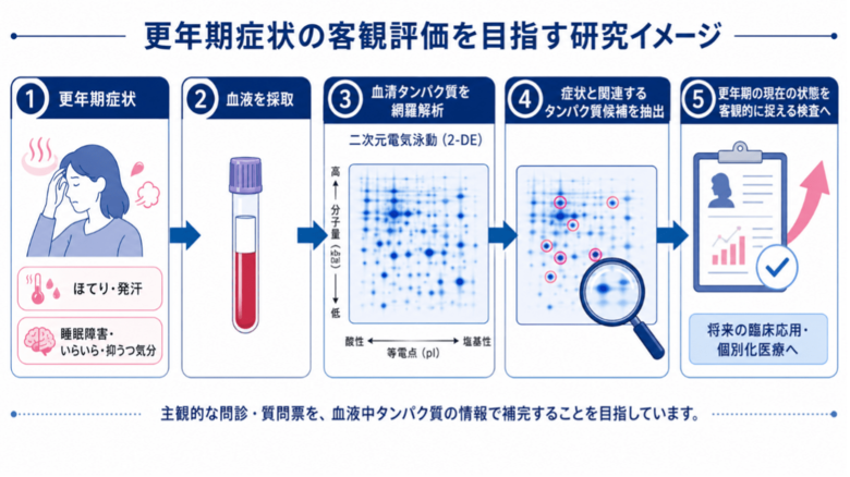 更年期症状と関連する血清タンパク質候補の研究成果をmedRxivで公開