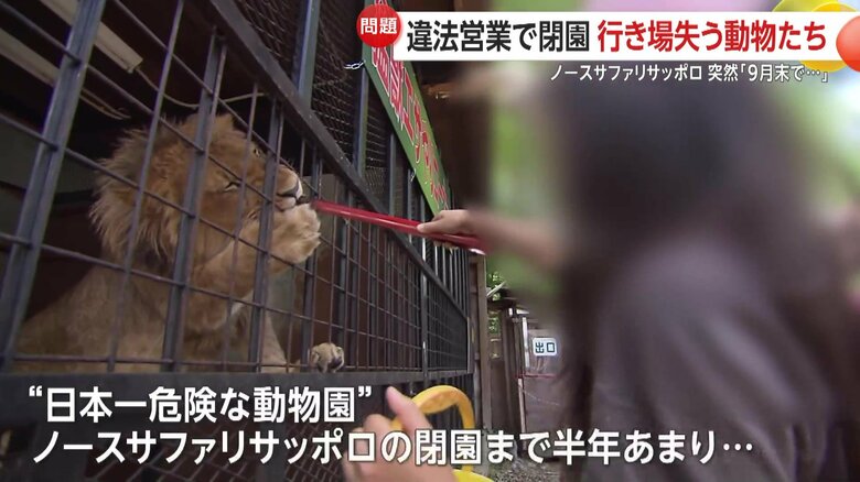 行き場失う500匹の動物たち…北海道の動物園「ノースサファリサッポロ」違法営業で9月末閉園　静岡県に移転検討も「お引き受けするような代物ではない」｜FNNプライムオンライン