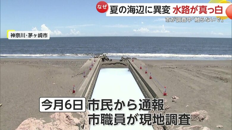 【謎】「手を触れないで」茅ヶ崎の海辺に異変！水路が突然“真っ白”に…簡易調査で有害物質確認されずも注意呼びかけ　神奈川｜FNNプライムオンライン