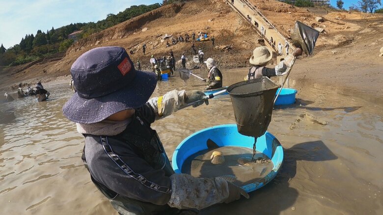 25年ぶりに池の水を抜いてみたら…　南砺・桜ヶ池で「かいぼり」 市民ら50人が泥まみれで奮闘　60センチ超の大型ブラックバスなど現れる｜FNNプライムオンライン
