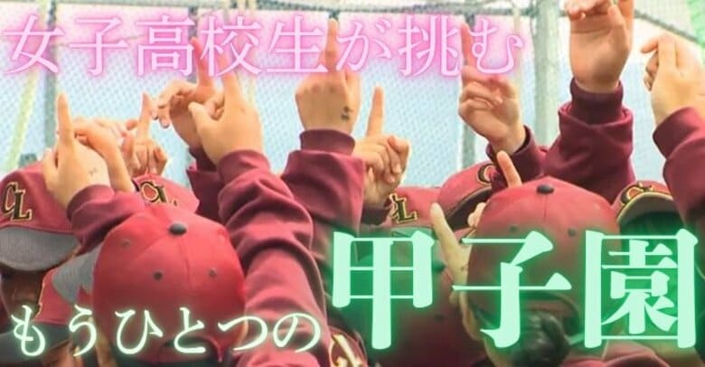 女子高校野球というもうひとつの甲子園　白球を追いかける女子高校生たちの青春　全国高等学校女子硬式野球選手権大会｜FNNプライムオンライン