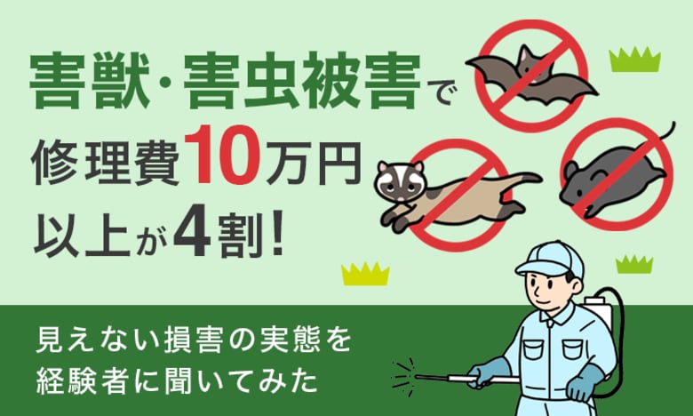 害獣・害虫被害で“修理費10万円以上”が4割!見えない損害の実態を経験者に聞いてみた