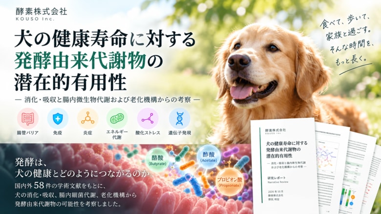 犬の健康寿命に「発酵由来代謝物」はどう関わるのか。58件の文献をもとに研究レポートを公開