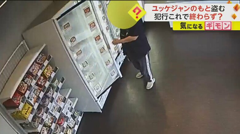 冷凍コーナーなどをチェックする女