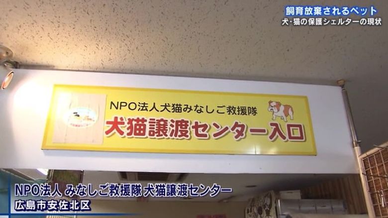 飼い主のモラルはu2026 動物保護シェルターの現状 u201cプチペットブームu201dの中 