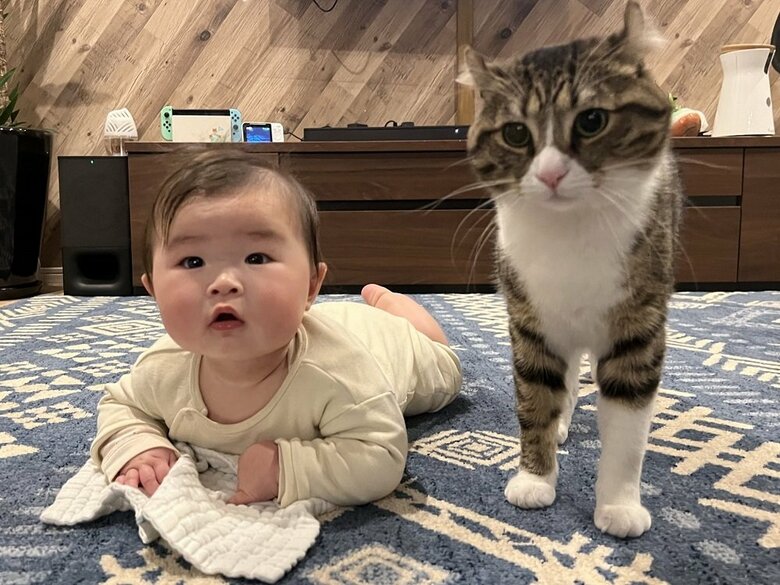 アタチちゃんのうつ伏せ練習に付き合ってくれるキウイくん