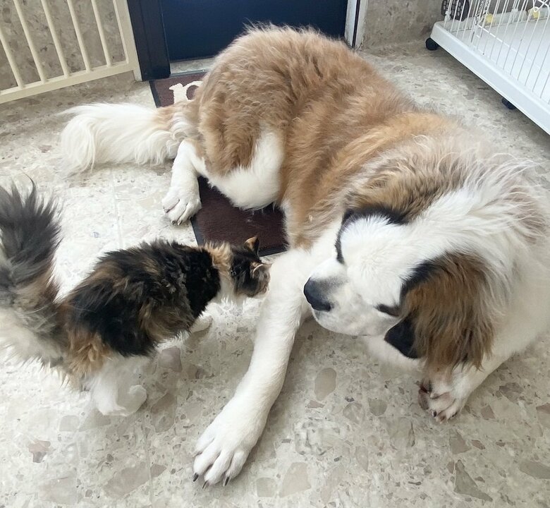 相思相愛の2匹だ