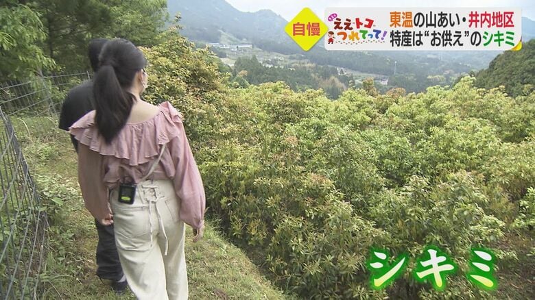 井内地区の特産品　墓や仏壇に供える
