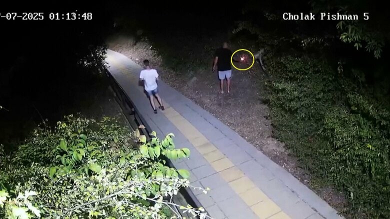 黒いTシャツの男が草木に火を付ける様子