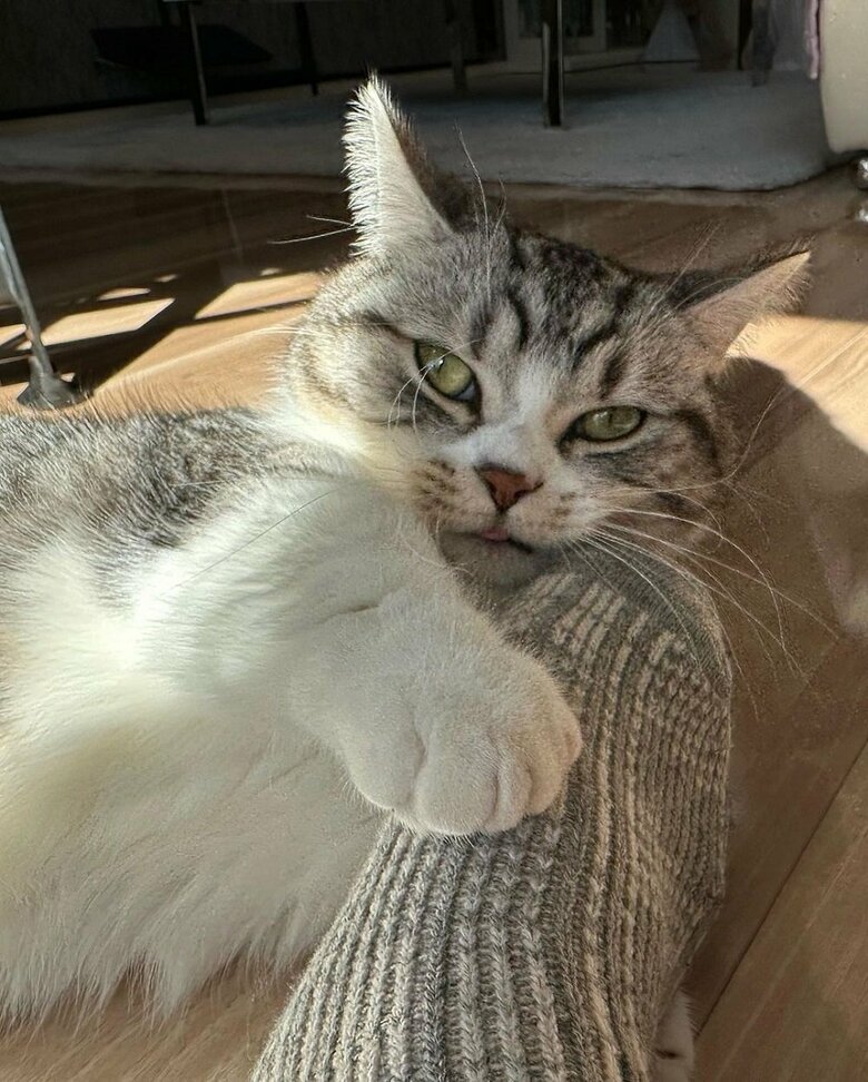 飼い主さんの足をギュッ