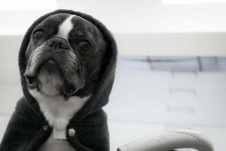 提供：丸男さん