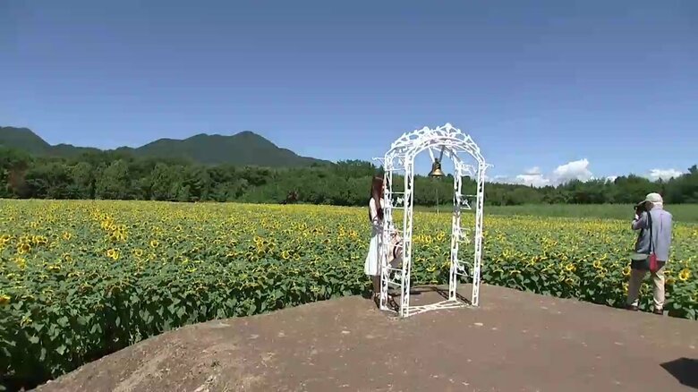 「煙山ひまわりパーク」岩手県矢巾町