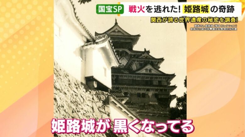 黒い網をかけられた姫路城