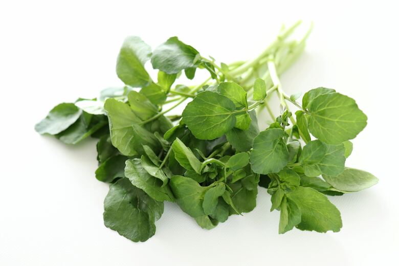 クレソンの辛み成分にもすぐれた抗酸化作用が