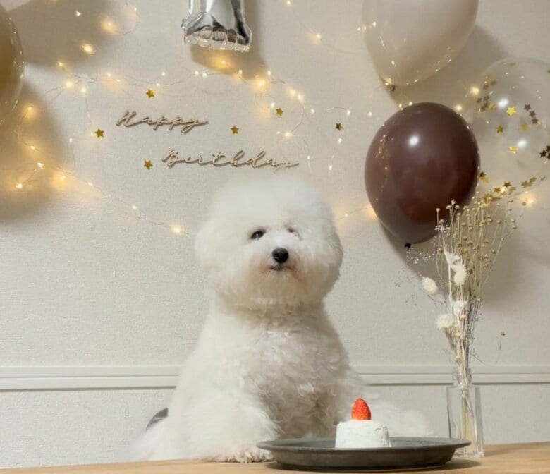 1歳の誕生日にもケーキを作ってもらった