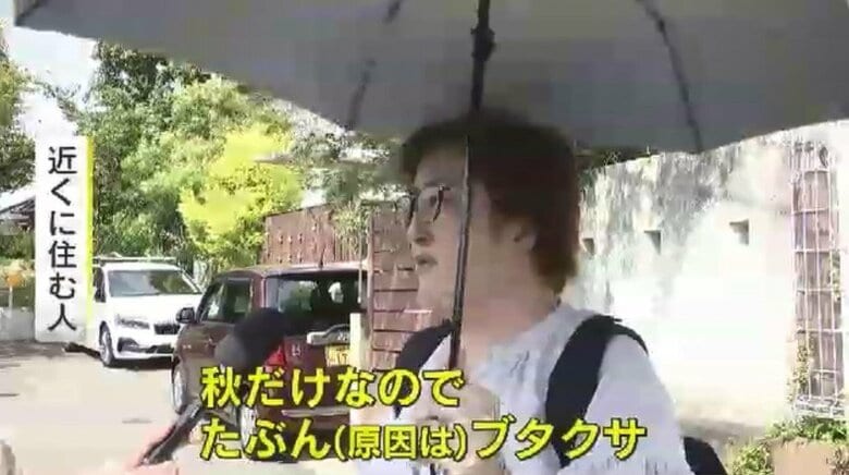 近隣の住民「娘が花粉症っぽい」