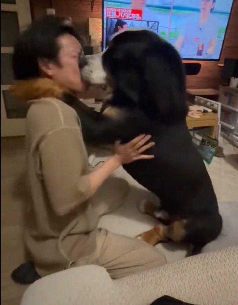 パパさん大好き