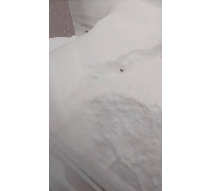 雪に埋もれちゃう豆くん（提供：山さん）