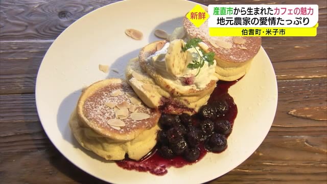 新鮮野菜とフルーツが魅力のカフェ人気 大山のふもとの農家の思い詰めて営業(鳥取)
