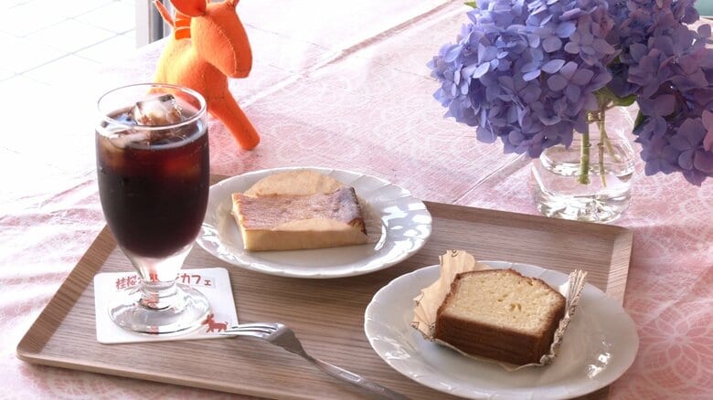 食物部の協力を得て提供したケーキセット