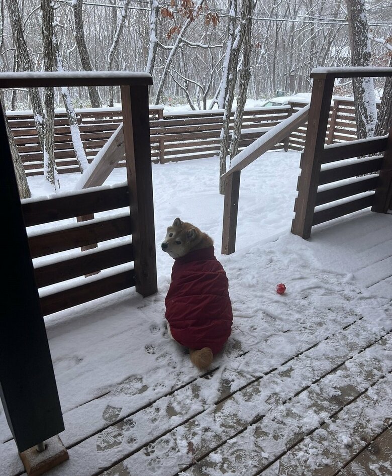 雪の日にダウンを着て