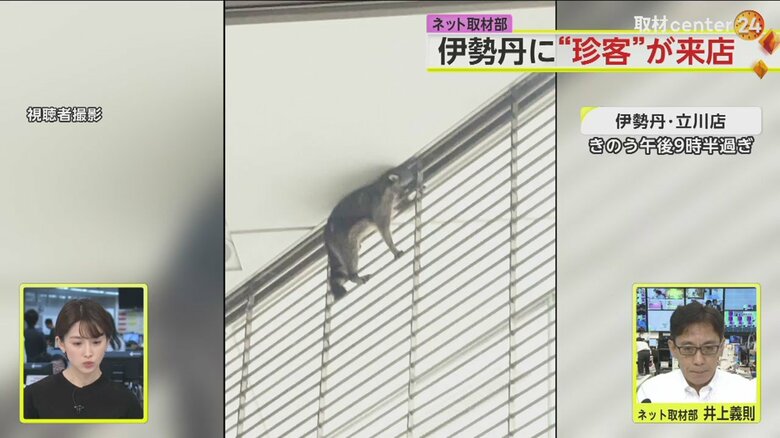 シャッターに挟まれているようにも見えるが、伊勢丹によると、挟まれていたわけではないという