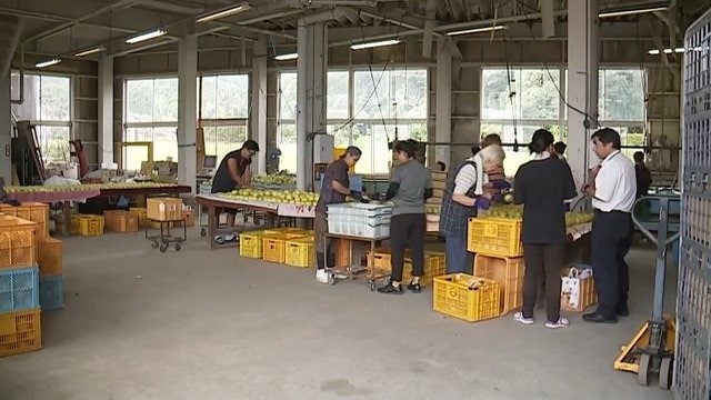 効果と課題検証し担い手確保探る