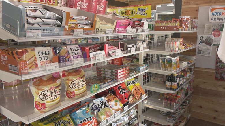 大手コンビニチェーンの物流網など活用